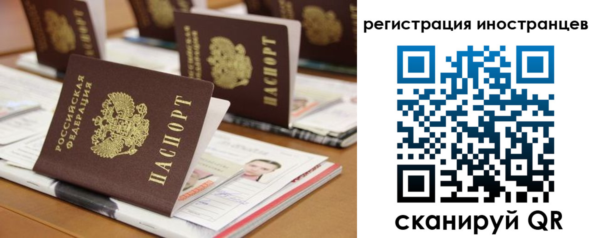 прописка для работы в Светлом
